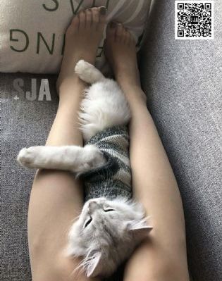 99熟妇人妻精品一区五一看片_1080免费高清观看