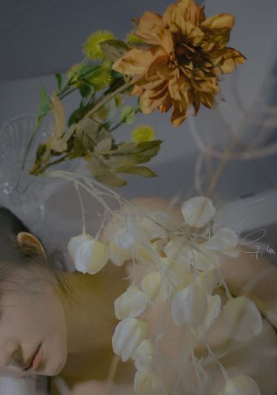 越南一级婬片A片AAA毛片小说_在线观看免费版