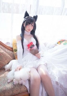 日本一区精品视频_BD在线观看完整版